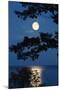 Moon over Lake-richistory-Mounted Photographic Print