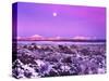 Moon over Lava Lands with Mt. Bachelor and Three Sisters in winter, Newberry National Volcanic M...-Panoramic Images-Stretched Canvas