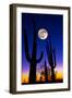 Moon over Saguaro Cactus (Carnegiea Gigantea), Tucson, Pima County, Arizona, USA-null-Framed Premium Photographic Print