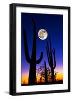 Moon over Saguaro Cactus (Carnegiea Gigantea), Tucson, Pima County, Arizona, USA-null-Framed Premium Photographic Print