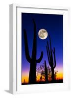 Moon over Saguaro Cactus (Carnegiea Gigantea), Tucson, Pima County, Arizona, USA-null-Framed Premium Photographic Print