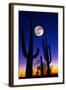 Moon over Saguaro Cactus (Carnegiea Gigantea), Tucson, Pima County, Arizona, USA-null-Framed Premium Photographic Print