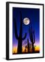 Moon over Saguaro Cactus (Carnegiea Gigantea), Tucson, Pima County, Arizona, USA-null-Framed Premium Photographic Print