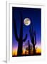 Moon over Saguaro Cactus (Carnegiea Gigantea), Tucson, Pima County, Arizona, USA-null-Framed Premium Photographic Print