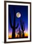 Moon over Saguaro Cactus (Carnegiea Gigantea), Tucson, Pima County, Arizona, USA-null-Framed Premium Photographic Print