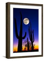 Moon over Saguaro Cactus (Carnegiea Gigantea), Tucson, Pima County, Arizona, USA-null-Framed Photographic Print