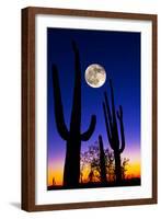 Moon over Saguaro Cactus (Carnegiea Gigantea), Tucson, Pima County, Arizona, USA-null-Framed Photographic Print