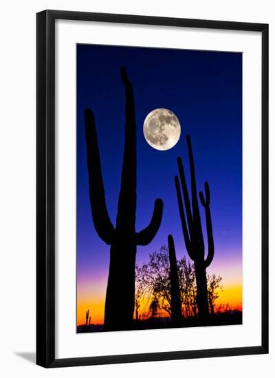 Moon over Saguaro Cactus (Carnegiea Gigantea), Tucson, Pima County, Arizona, USA-null-Framed Photographic Print