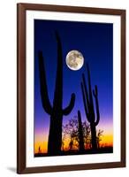 Moon over Saguaro Cactus (Carnegiea Gigantea), Tucson, Pima County, Arizona, USA-null-Framed Photographic Print