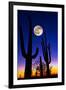 Moon over Saguaro Cactus (Carnegiea Gigantea), Tucson, Pima County, Arizona, USA-null-Framed Photographic Print