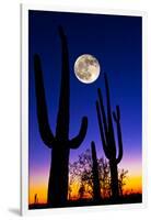 Moon over Saguaro Cactus (Carnegiea Gigantea), Tucson, Pima County, Arizona, USA-null-Framed Photographic Print