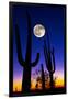 Moon over Saguaro Cactus (Carnegiea Gigantea), Tucson, Pima County, Arizona, USA-null-Framed Photographic Print