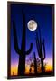 Moon over Saguaro Cactus (Carnegiea Gigantea), Tucson, Pima County, Arizona, USA-null-Framed Premium Photographic Print