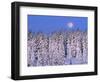 Moon Over Snow-Covered Trees-Cindy Kassab-Framed Photographic Print