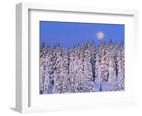 Moon Over Snow-Covered Trees-Cindy Kassab-Framed Photographic Print