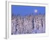 Moon Over Snow-Covered Trees-Cindy Kassab-Framed Photographic Print