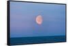 Moon over the Bering Sea, Russia Far East-Keren Su-Framed Stretched Canvas