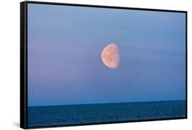 Moon over the Bering Sea, Russia Far East-Keren Su-Framed Stretched Canvas