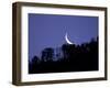 Moon Over the Forest-null-Framed Photographic Print