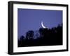 Moon Over the Forest-null-Framed Photographic Print