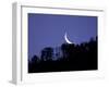 Moon Over the Forest-null-Framed Photographic Print