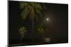 Moon over the Horizon Off the Isle of Youth, Cuba. Coconut Palms Illuminated in the Foreground-James White-Mounted Photographic Print