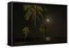 Moon over the Horizon Off the Isle of Youth, Cuba. Coconut Palms Illuminated in the Foreground-James White-Framed Stretched Canvas