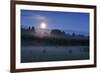 Moon over the Kemeri National Park, Latvia, June 2009-López-Framed Photographic Print