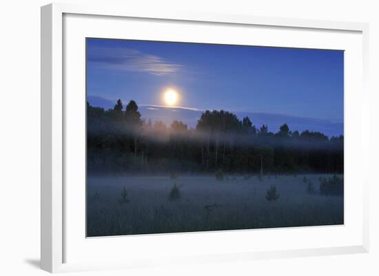 Moon over the Kemeri National Park, Latvia, June 2009-López-Framed Photographic Print