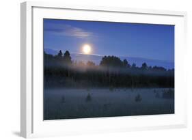 Moon over the Kemeri National Park, Latvia, June 2009-López-Framed Photographic Print