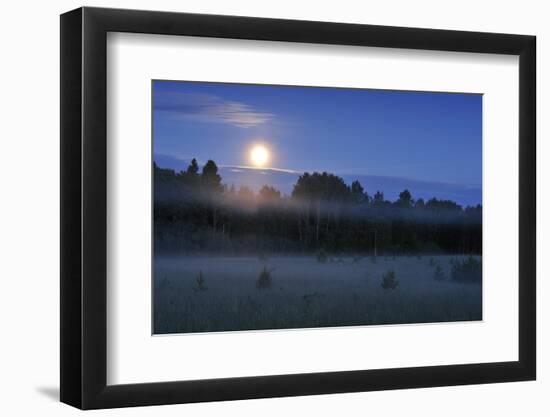 Moon over the Kemeri National Park, Latvia, June 2009-López-Framed Photographic Print