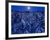 Moon Over the Winter Forest-null-Framed Photographic Print