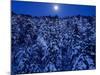 Moon Over the Winter Forest-null-Mounted Photographic Print