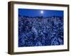 Moon Over the Winter Forest-null-Framed Photographic Print