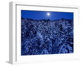 Moon Over the Winter Forest-null-Framed Photographic Print