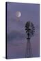 Moon over Windmill-randymir-Stretched Canvas