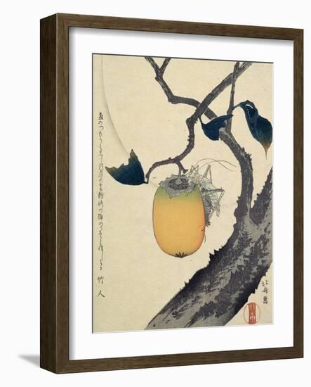 Moon, Persimmon and Grasshopper, 1807-Katsushika Hokusai-Framed Giclee Print