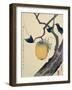 Moon, Persimmon and Grasshopper, 1807-Katsushika Hokusai-Framed Giclee Print