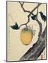 Moon, Persimmon and Grasshopper, 1807-Katsushika Hokusai-Mounted Premium Giclee Print