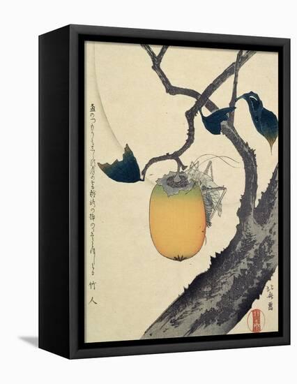 Moon, Persimmon and Grasshopper, 1807-Katsushika Hokusai-Framed Stretched Canvas