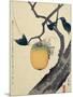 Moon, Persimmon and Grasshopper, 1807-Katsushika Hokusai-Mounted Giclee Print