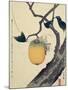 Moon, Persimmon and Grasshopper, 1807-Katsushika Hokusai-Mounted Premium Giclee Print