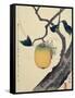 Moon, Persimmon and Grasshopper, 1807-Katsushika Hokusai-Framed Stretched Canvas