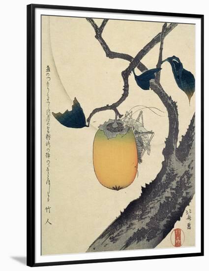Moon, Persimmon and Grasshopper, 1807-Katsushika Hokusai-Framed Premium Giclee Print