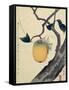 Moon, Persimmon and Grasshopper, 1807-Katsushika Hokusai-Framed Stretched Canvas