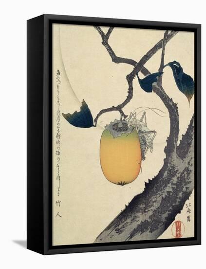 Moon, Persimmon and Grasshopper, 1807-Katsushika Hokusai-Framed Stretched Canvas