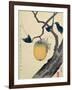 Moon, Persimmon and Grasshopper, 1807-Katsushika Hokusai-Framed Giclee Print