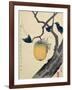 Moon, Persimmon and Grasshopper, 1807-Katsushika Hokusai-Framed Giclee Print