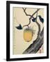 Moon, Persimmon and Grasshopper, 1807-Katsushika Hokusai-Framed Giclee Print