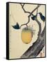 Moon, Persimmon and Grasshopper, 1807-Katsushika Hokusai-Framed Stretched Canvas